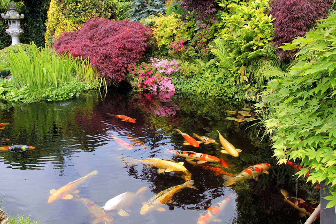 Ponds