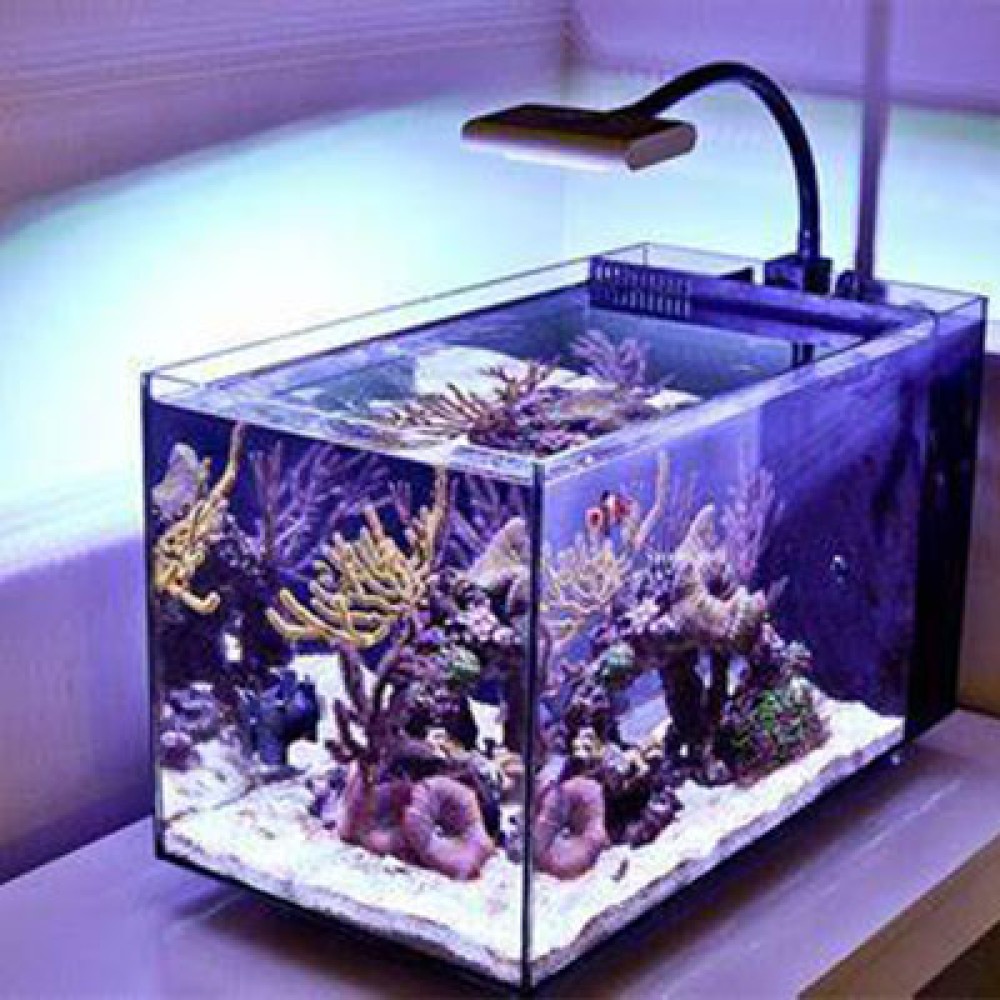 Marine Tank packages