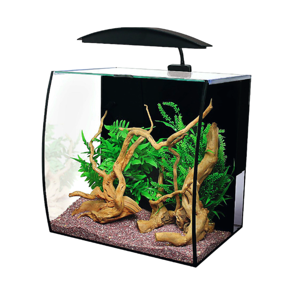 AquaOne Arc 46 Glass Aquarium 46L