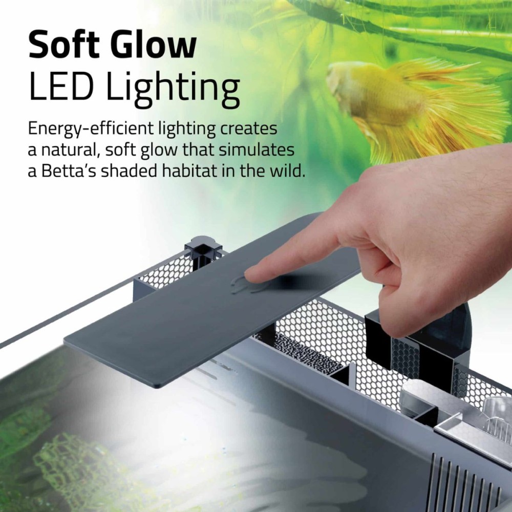 Fluval 20L Betta Aquarium Kit
