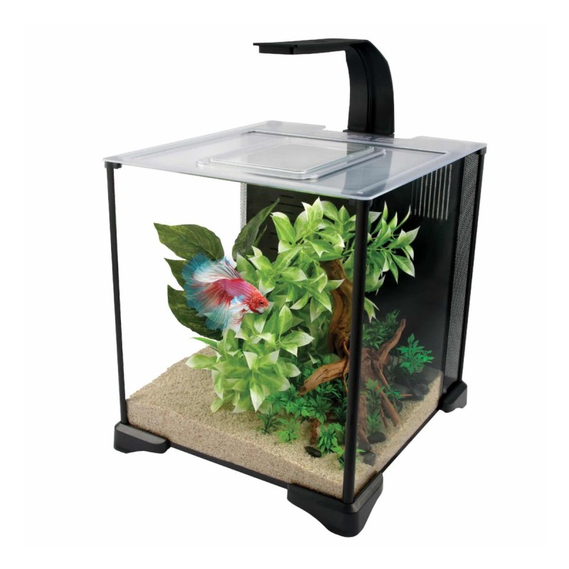 Fluval 20L Betta Aquarium Kit