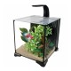 Fluval 20L Betta Aquarium Kit