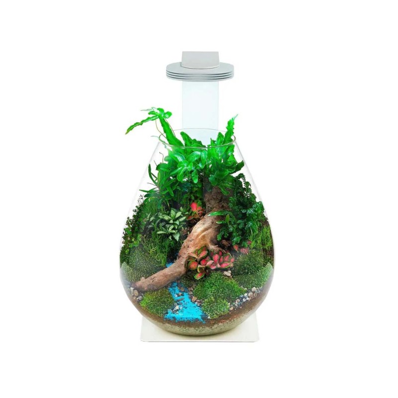 Chihiros Terrarium Kit Including Light