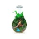 Chihiros Terrarium Kit Including Light