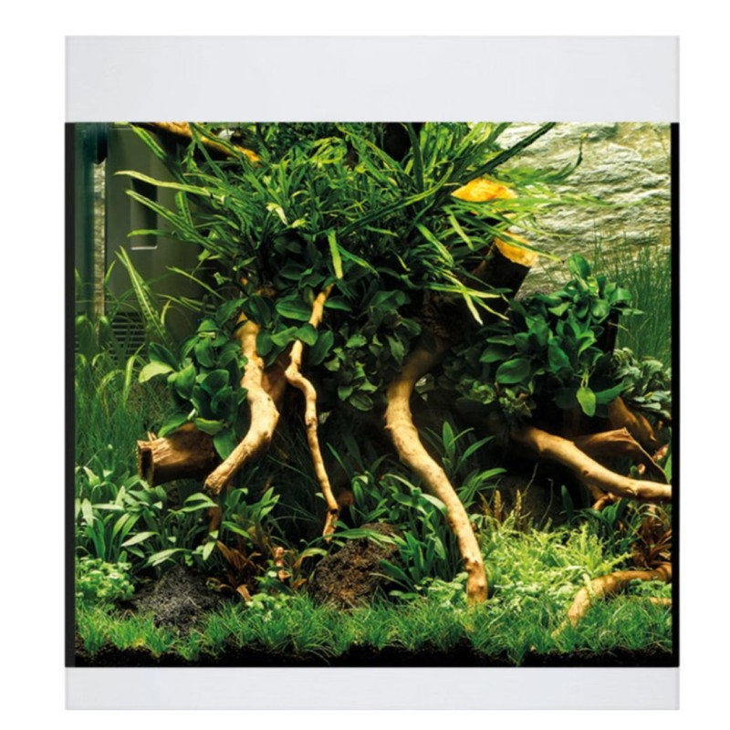 Oase StyleLine 85 Aquarium