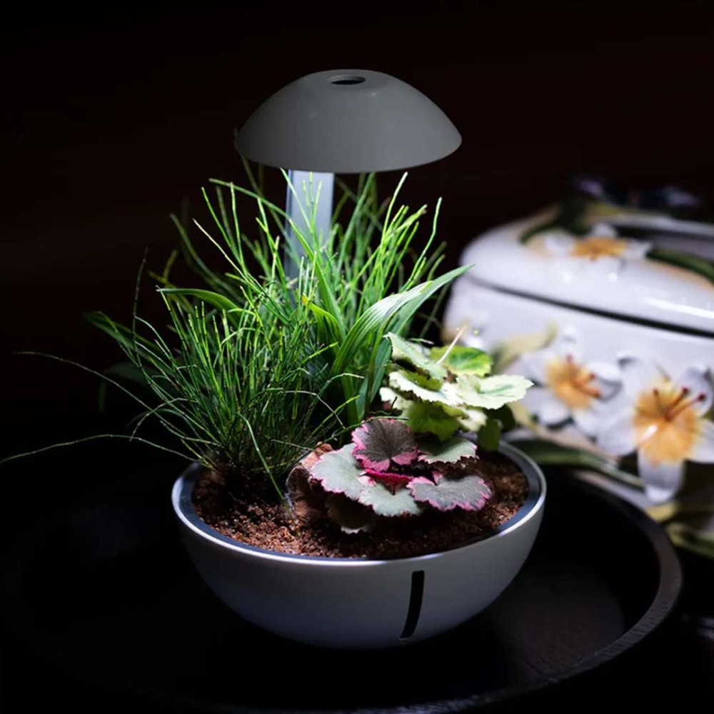 Chihiros Tiny Terarium Egg (10 watt)