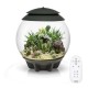 Oase biOrb AIR 30