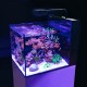 Red Sea MAX NANO G2 Peninsula