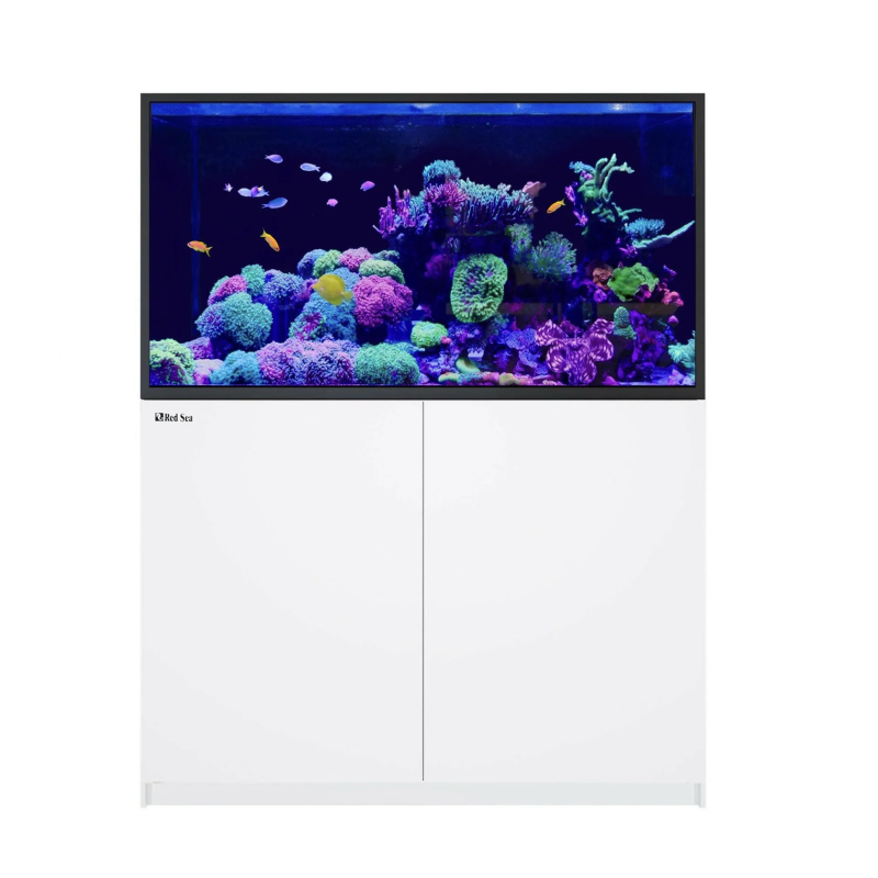 Red Sea REEFER™ G3 S 550 Complete System