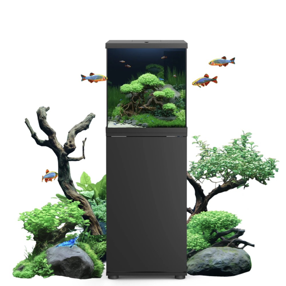 Juwel Vio Aquarium
