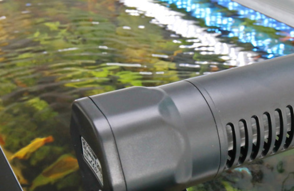 Keep Your Cool: Why Temperature Control Matters in Aquariums