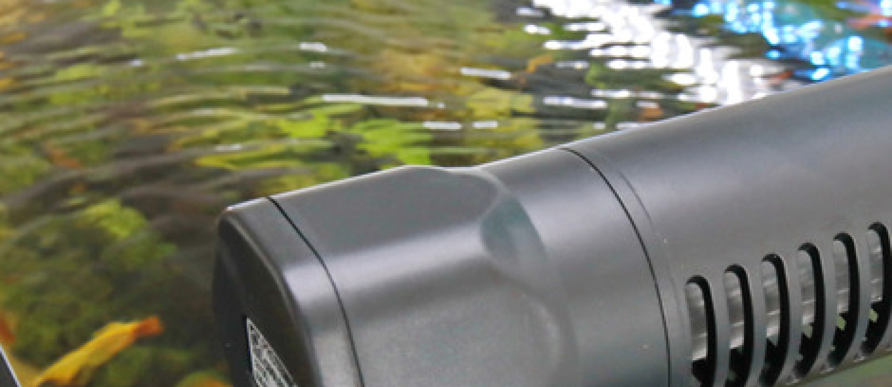 Image showcasing Keep Your Cool: Why Temperature Control Matters in Aquariums