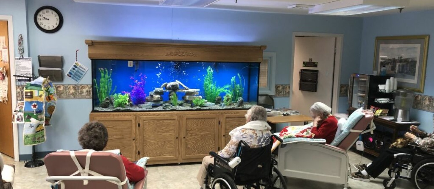 The Role of Aquariums in Rehab and Therapy