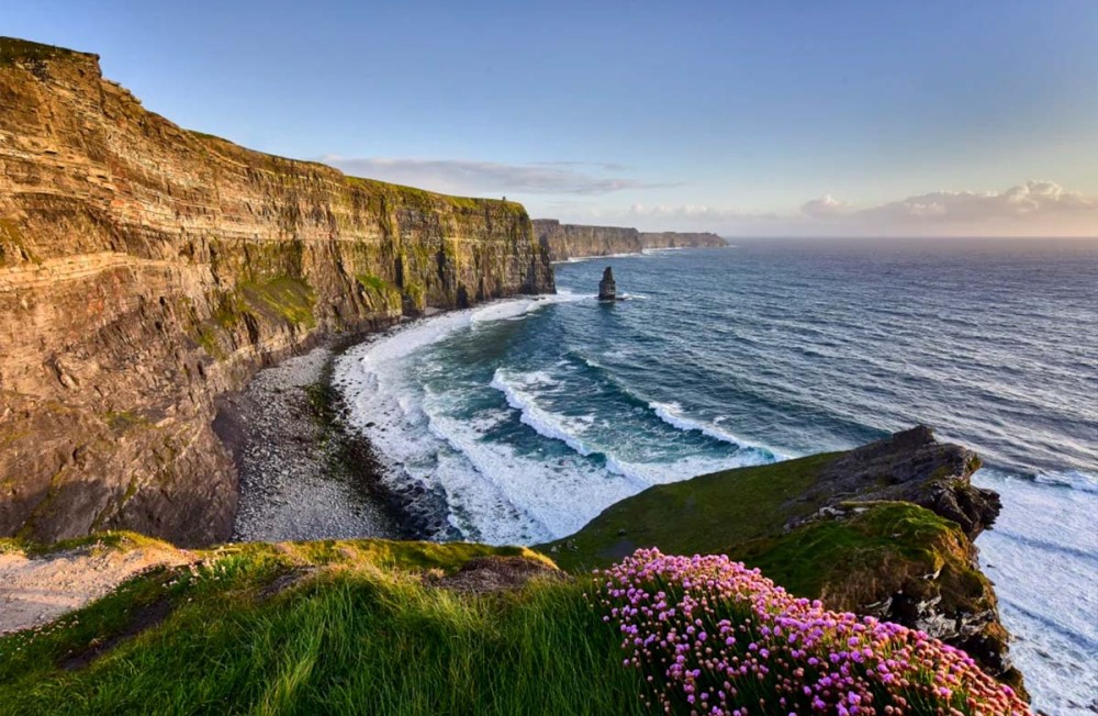 Celebrating World Wildlife Day: Protecting Ireland’s Marine Life