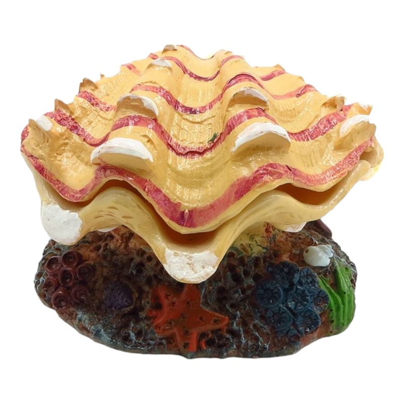 AquaOne Air Operated Clam Shell Peaches And Cream 10x10x8cm