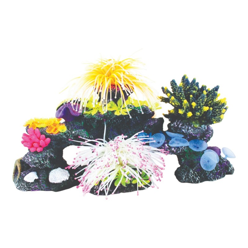 AquaOne Copi Combined Coral B Medium 40x20x20