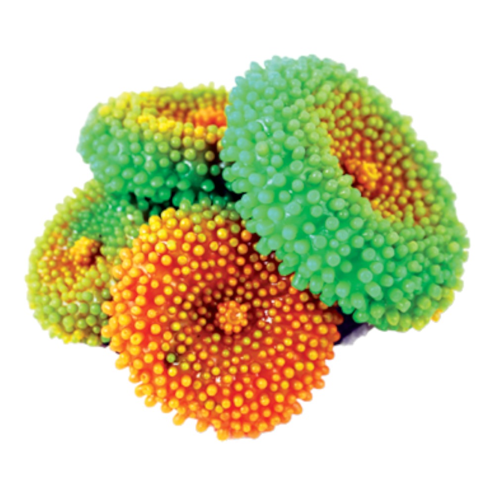AquaOne Coral Red/Green Mushrooms Assorted Small