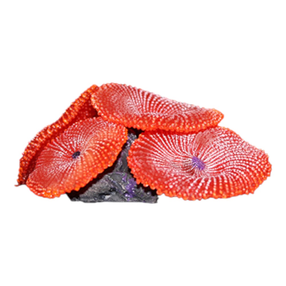 AquaOne Copi Coral Buttons 7.5x7.5x4cm Red