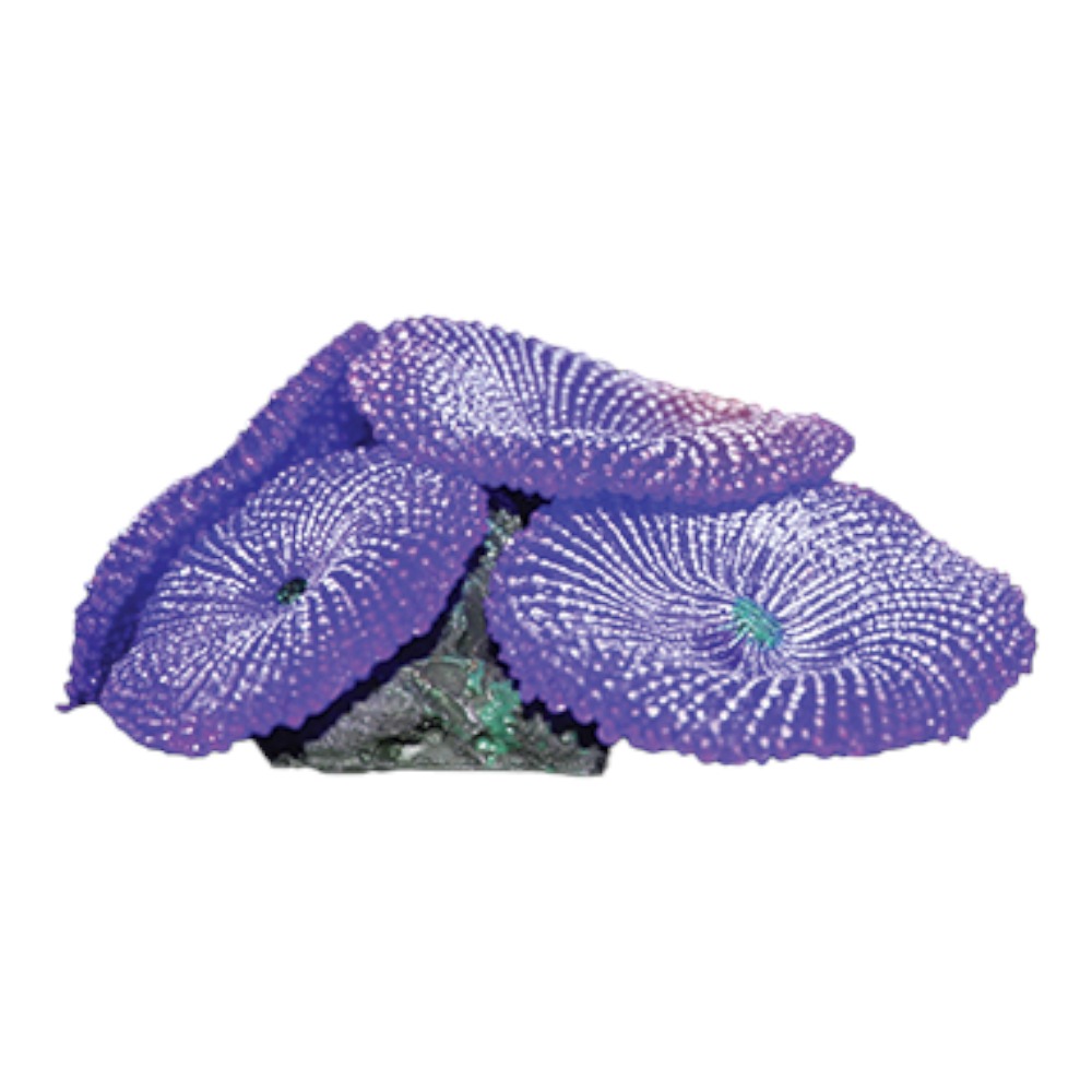 AquaOne Copi Coral Buttons 7.5x7.5x4cm Purple
