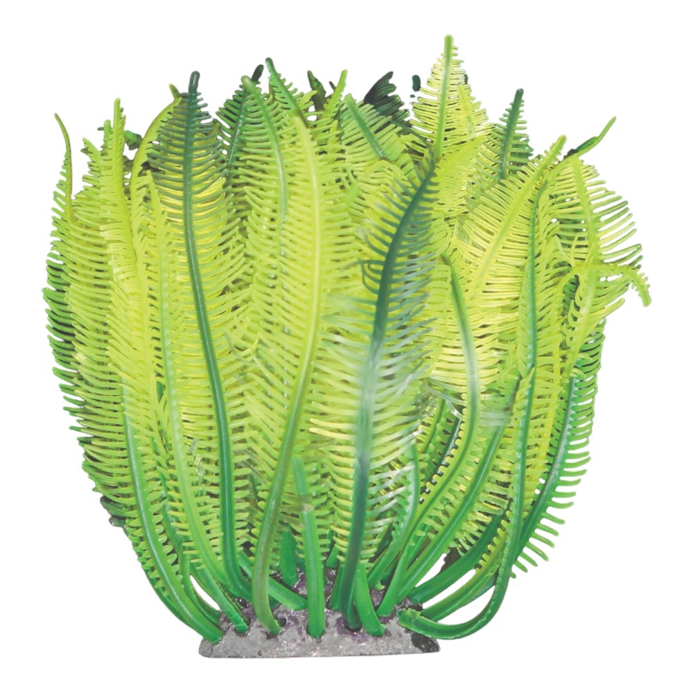AquaOne Copi Coral Feather Star 4.5x4.5x12cm Green
