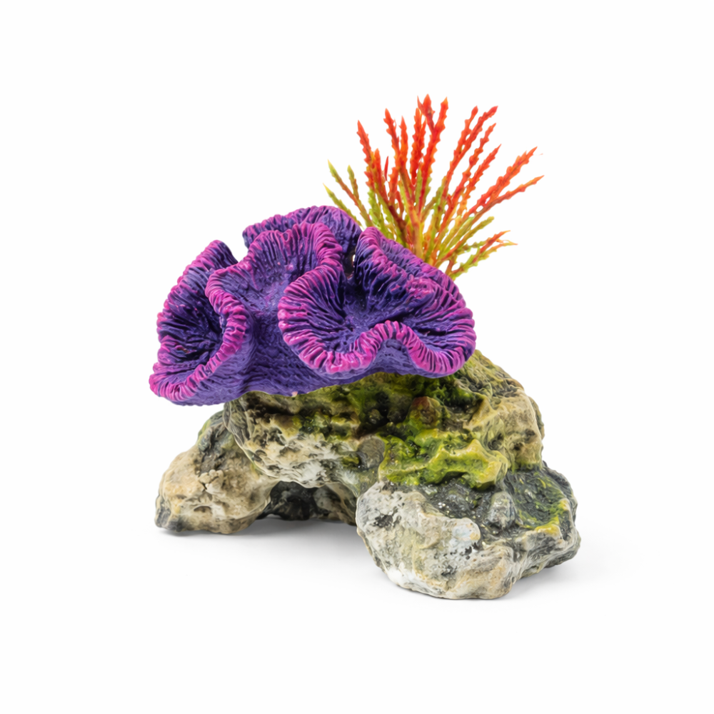 Classic Coral On Rocks With Plants 3142