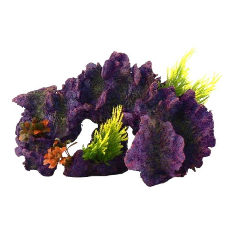 Classic Coral Reef 2922