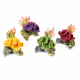 Classic Coral On Rocks With Plants 3142