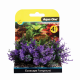 AquaOne Ecoscape Foreground Catspaw 4pk Purple