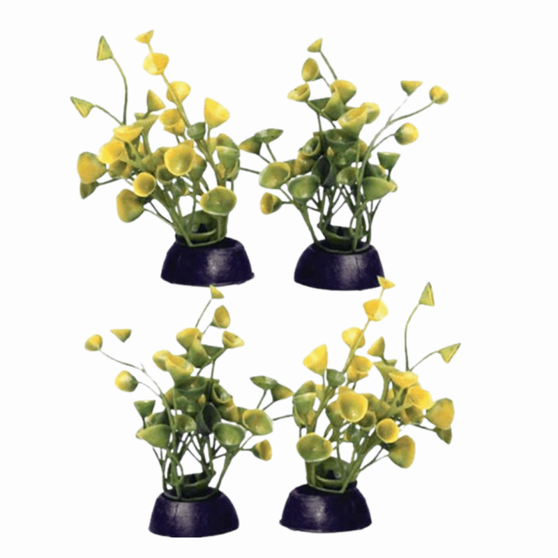 AquaOne Ecoscape Foreground Ogris Auribus 4pk Yellow