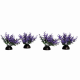 AquaOne Ecoscape Foreground Catspaw 4pk Purple