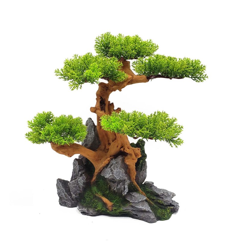 AquaOne Bonsai tree on rocks