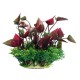 AquaOne Ecoscape Small Lily Red 10cm