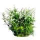 AquaOne Ecoscape Small Snow Swirl Green 10cm