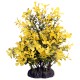 AquaOne Ecoscape Medium Japanese Box Yellow 20cm