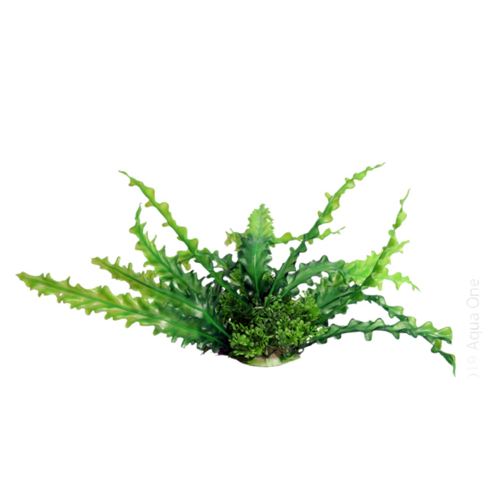 AquaOne Ecoscape Medium Ruffled Lace Plant Green 20cm