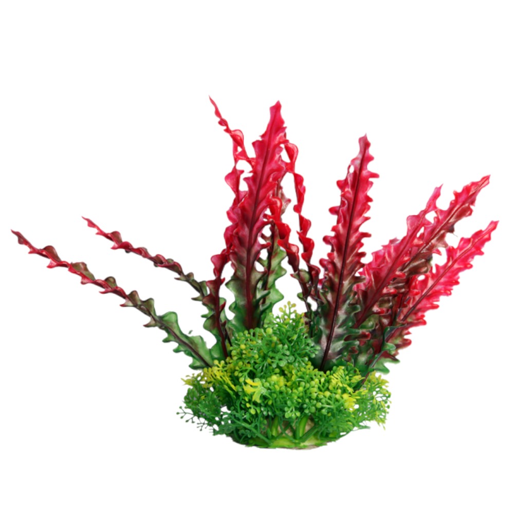 AquaOne Ecoscape Medium Ruffled Lace Plant Red 20cm