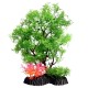 AquaOne Ecoscape Medium Pollicem Ranae Tree green 24cm