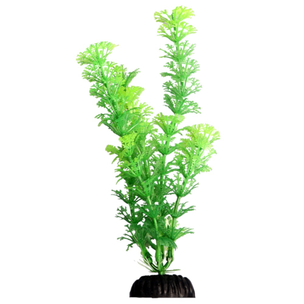 AquaOne Ecoscape Medium Ambulia Green 20cm