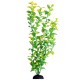 AquaOne Ecoscape XLarge Hygro Green 40cm