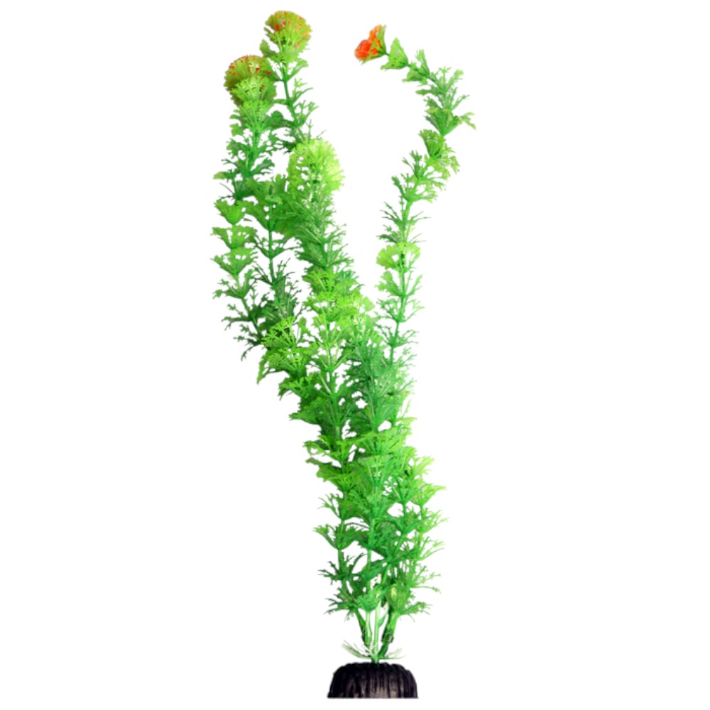 AquaOne Ecoscape XLarge Ambulia Green 40cm