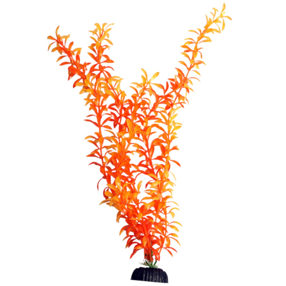 AquaOne Brightscape Xlarge Ludwigia Orange 40cm
