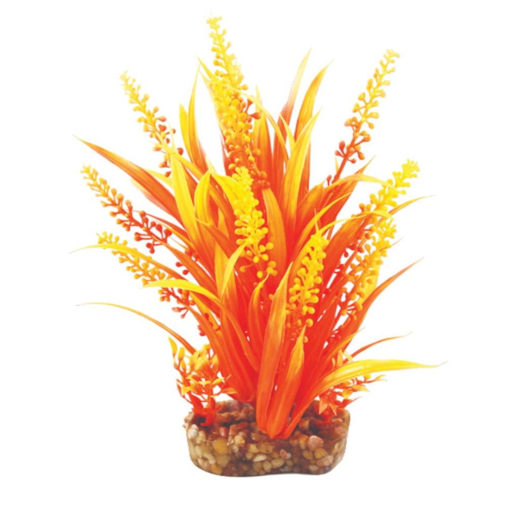 AquaOne Vibrance Orange Cabomba (M)