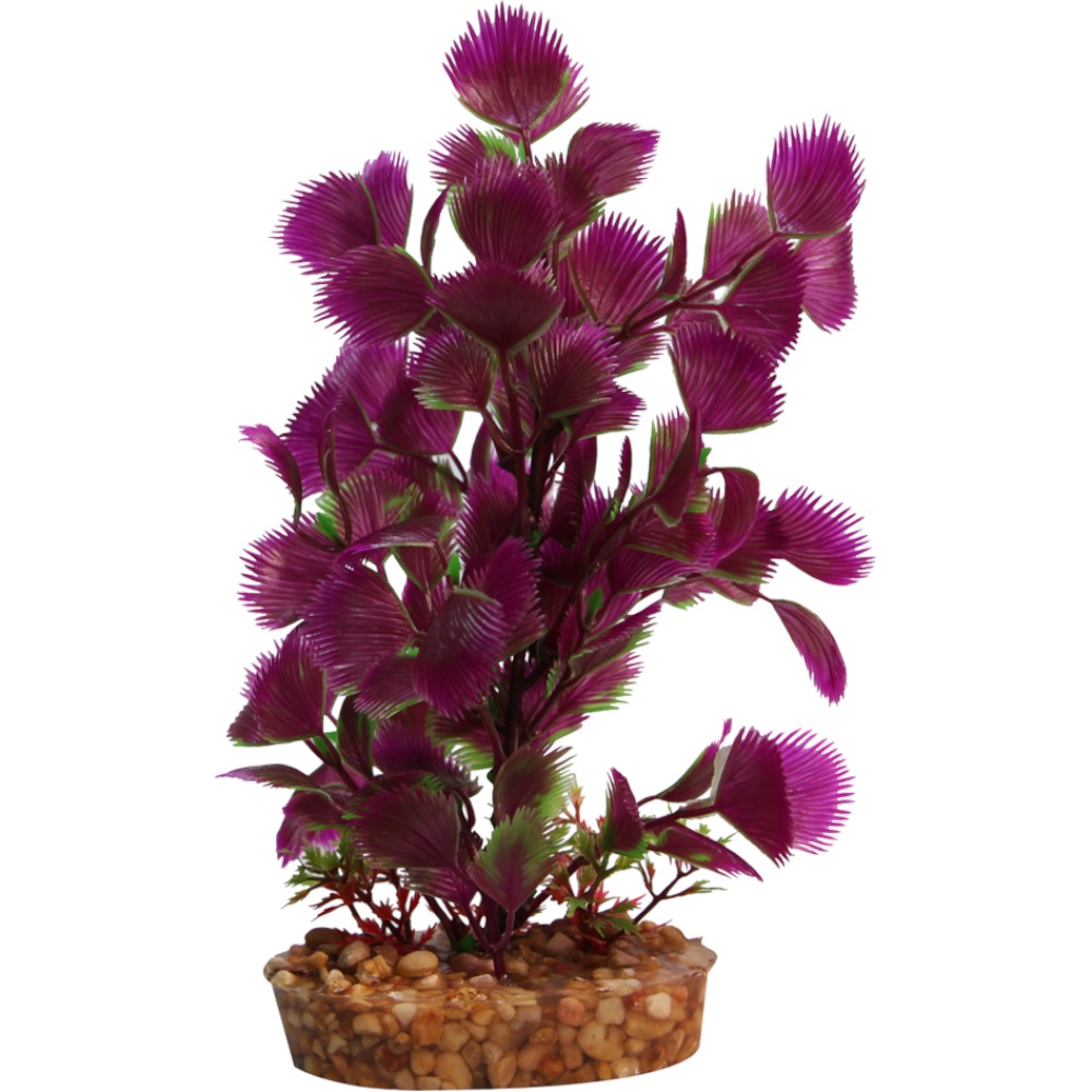 AquaOne Vibrance Purple Hottonia (M)