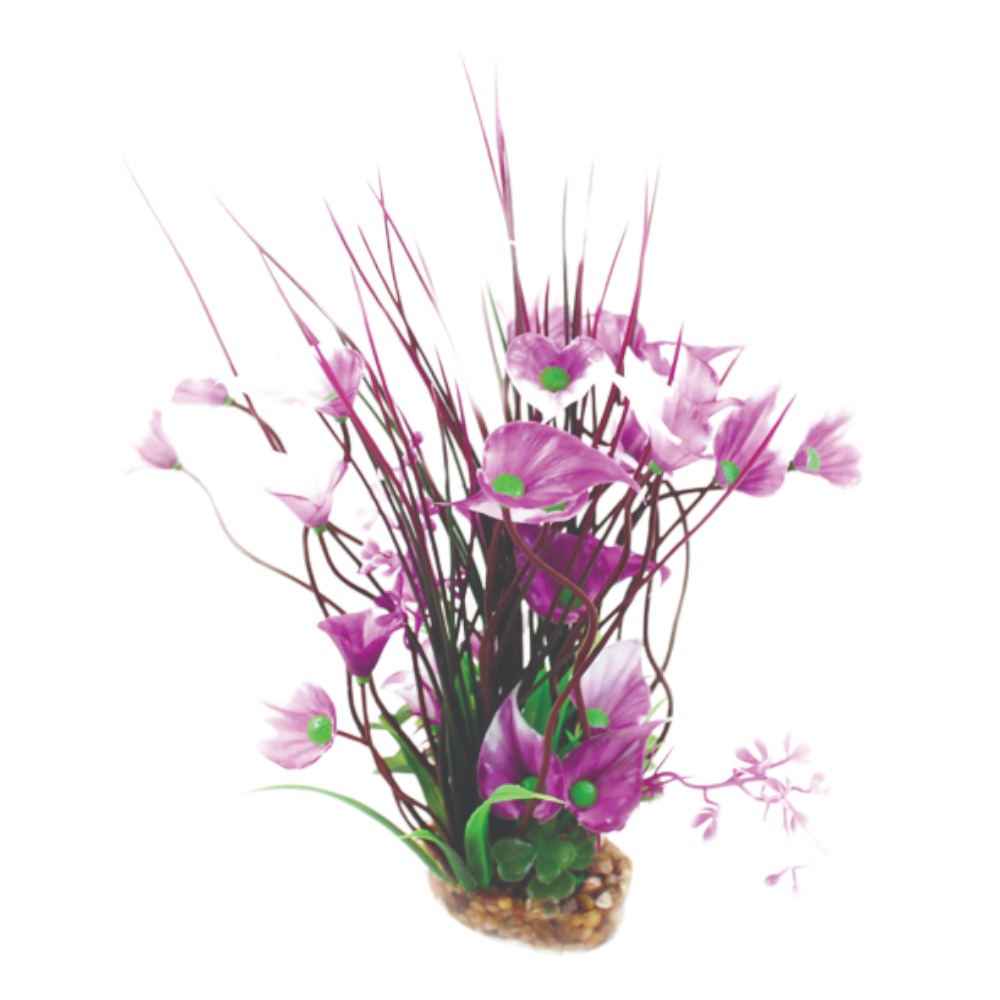 AquaOne Vibrance Purple Villarsia/Hygrophila (M)