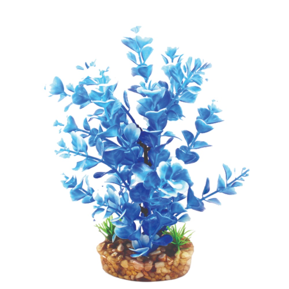 AquaOne Vibrance Blue Ludwigia (M)