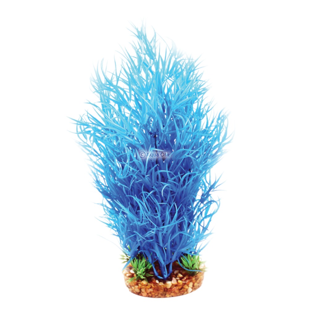 AquaOne Vibrance Blue Rotala (L)