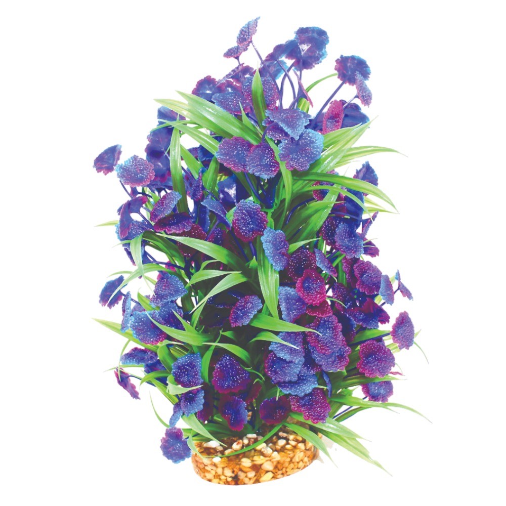 AquaOne Vibrance Blue Centauria (L)
