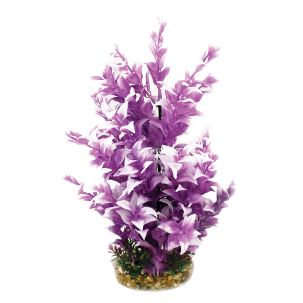 AquaOne Vibrance Purple Ludwigia (L)