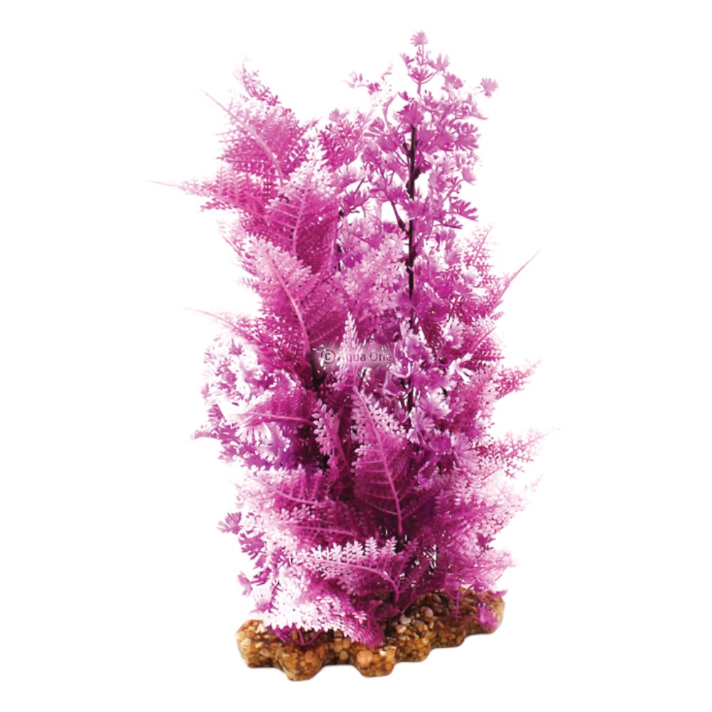 AquaOne Vibrance Pink Elatine/Hygrophila (XL)