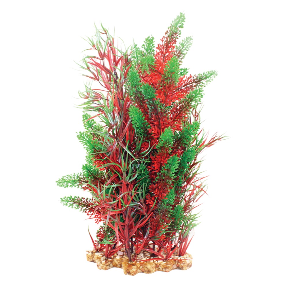 AquaOne Vibrance Red Pontederia/Typha (XL)